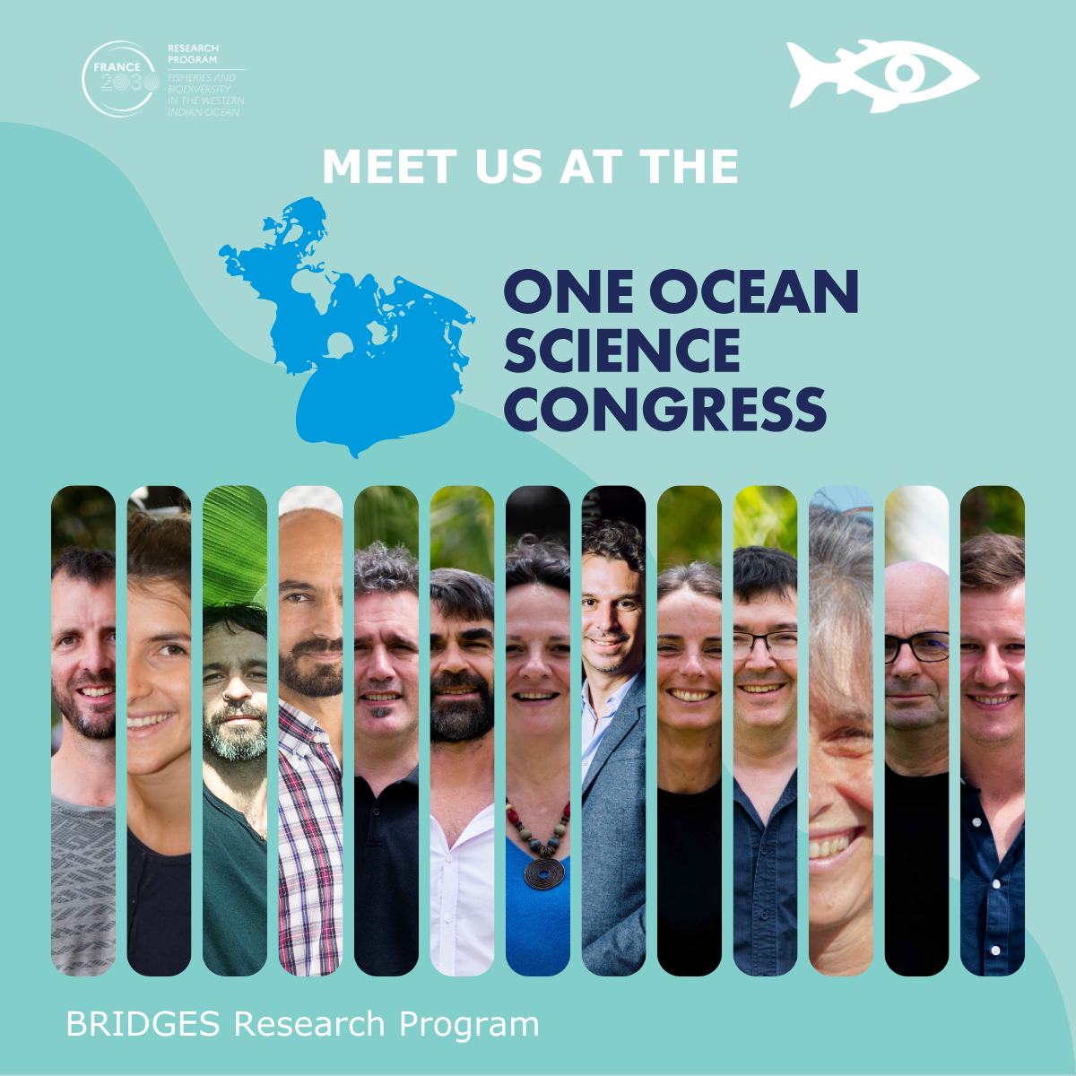 A look back at BRIDGES at UNOC3
