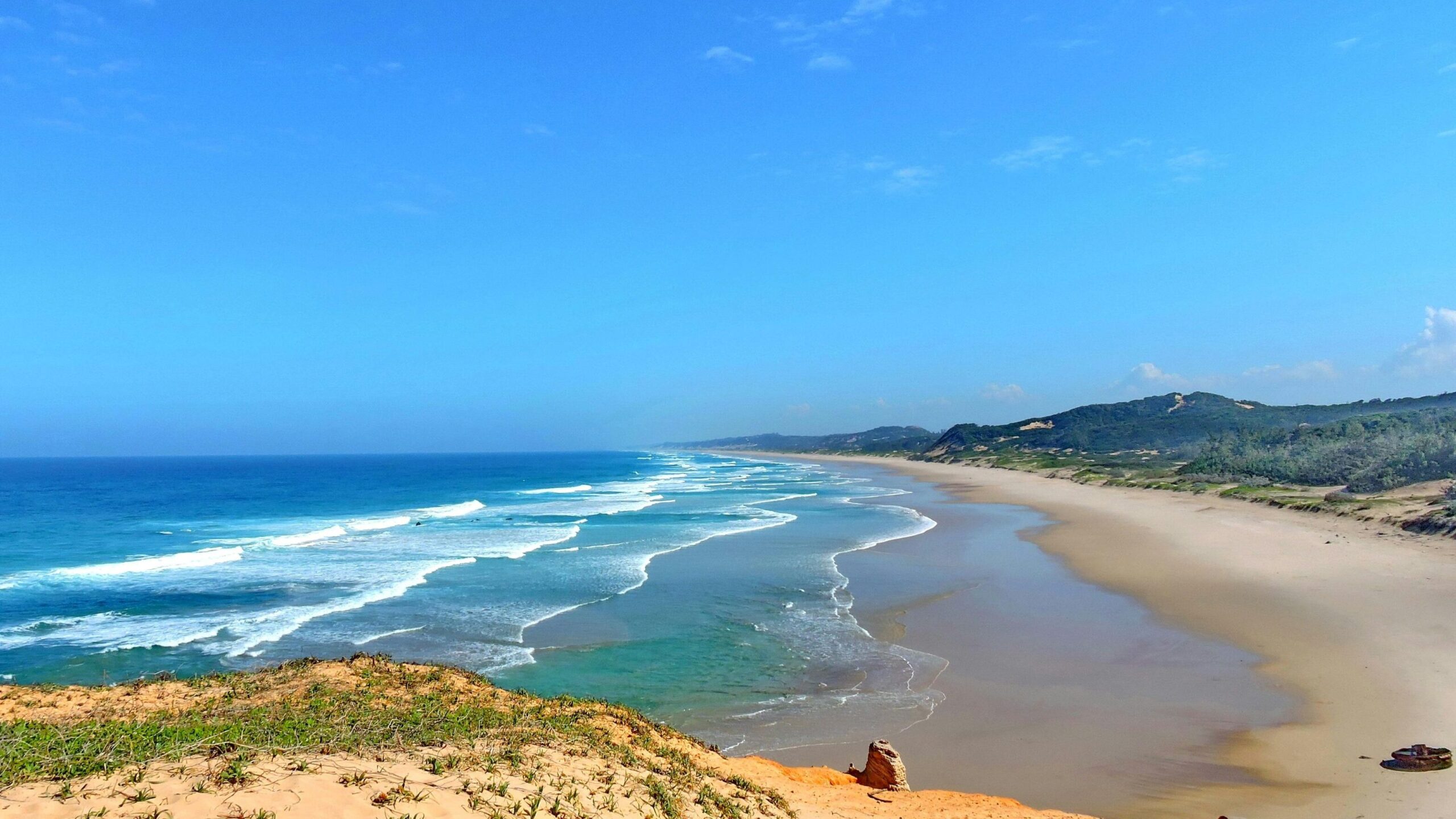  BIOMA: When the law questions the protection of marine biodiversity 