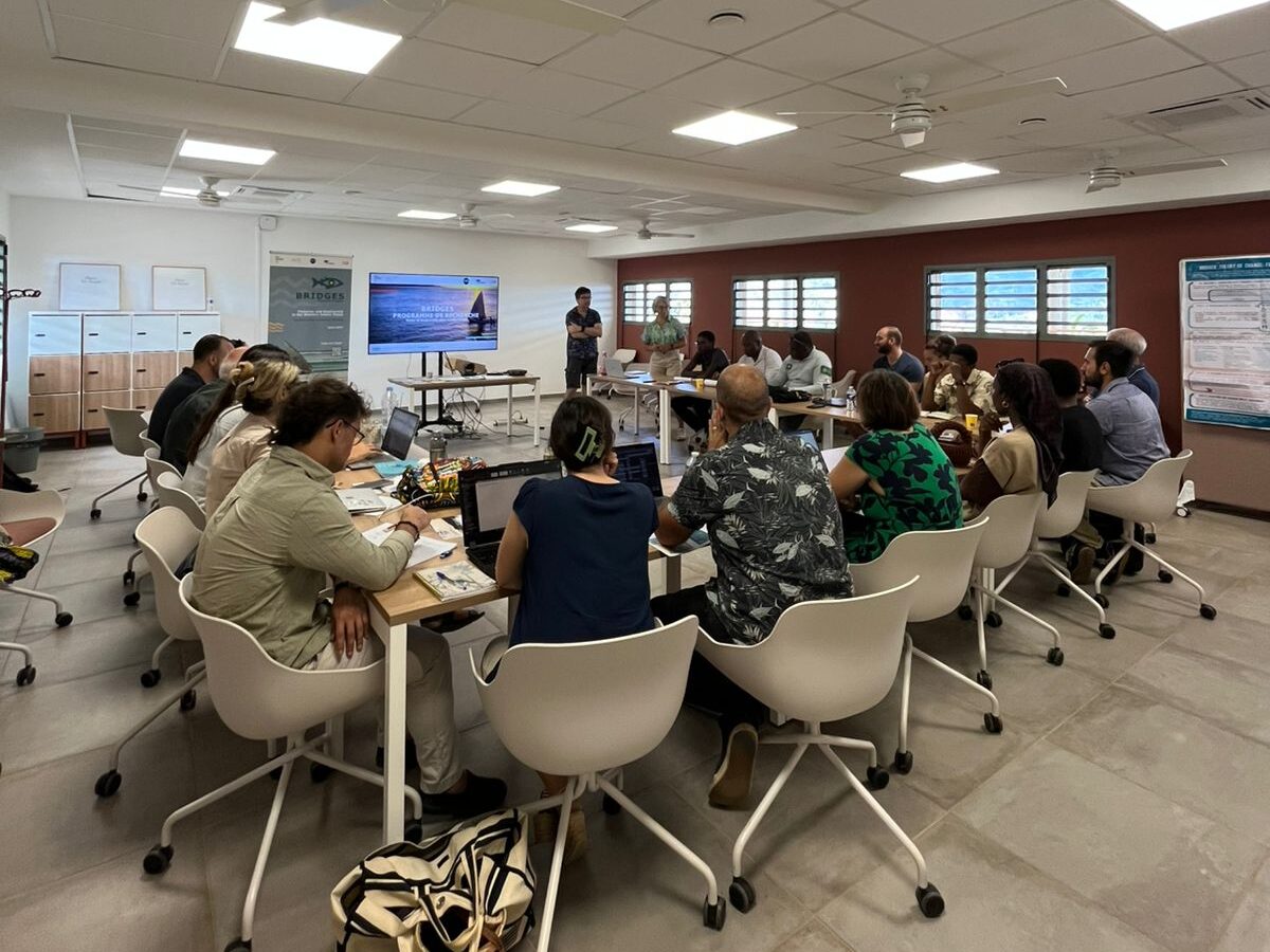  BRIDGES mission to Mayotte: three days of discussions with local scientific stakeholders 