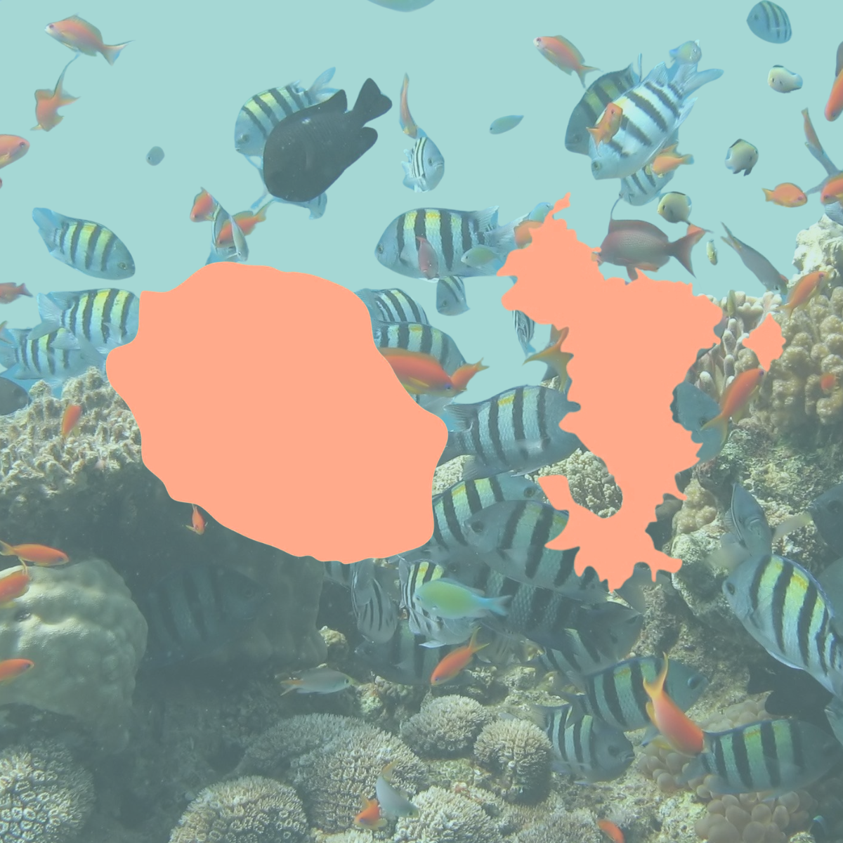  Assessing the Vulnerability of Marine Species with Limited Data in Réunion Island and Mayotte 