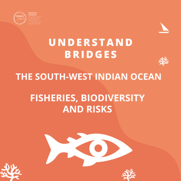 At a glance: The South-West Indian Ocean: Fisheries, biodiversity and risks