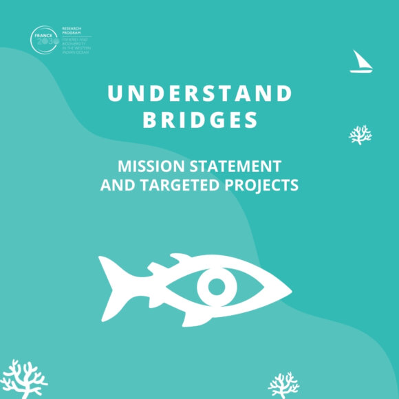 At a glance: BRIDGES mission statement and targeted projects