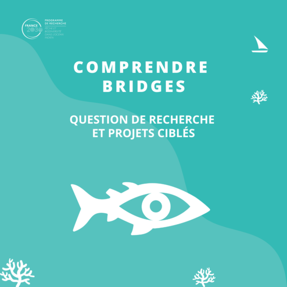 En images : Question de recherche et projets ciblés de BRIDGES