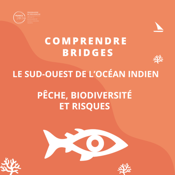 En images : Sud-ouest de l'océan Indien : Pêche, biodiversité et risques