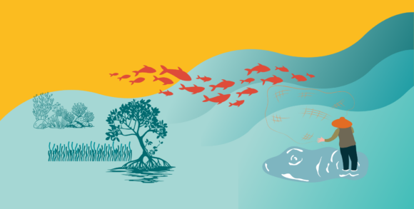 Risk and resilience in the face of climate change: understanding in order to act
