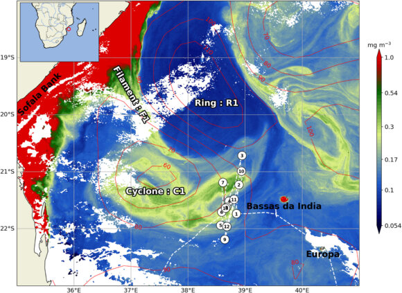 In the Mozambique Channel, how can physico-biogeochemical modeling be used to better understand and anticipate the distribution of marine species?