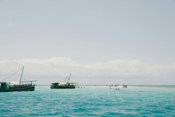 Renforcer les approches interdisciplinaires grâce à la première école BRIDGES