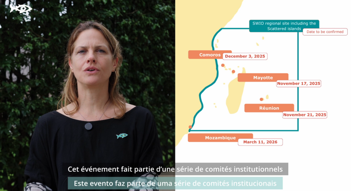 BRIDGES - Closing the CIS launches