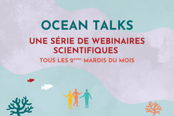 image webinaires