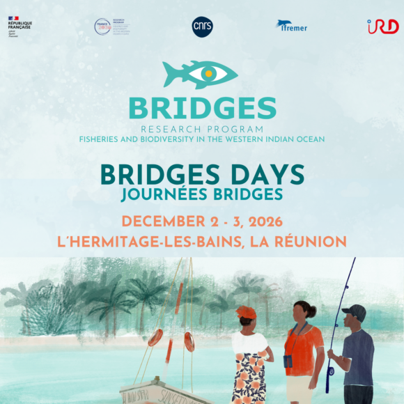 BRIDGES Days