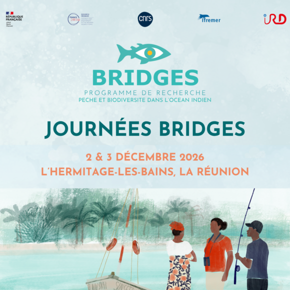 Journées BRIDGES