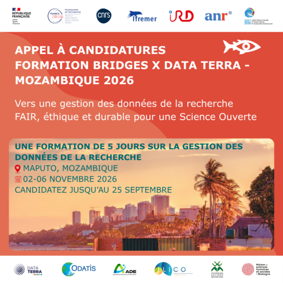 Appel à candidatures - BRIDGES x Data Terra Mozambique 2026
